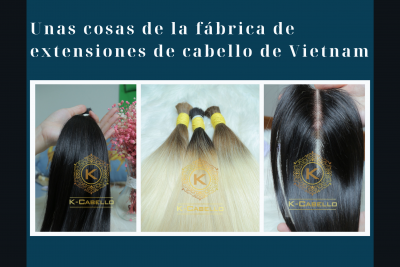 la-fabrica-de-extensiones-de-cabello-de-vietnam